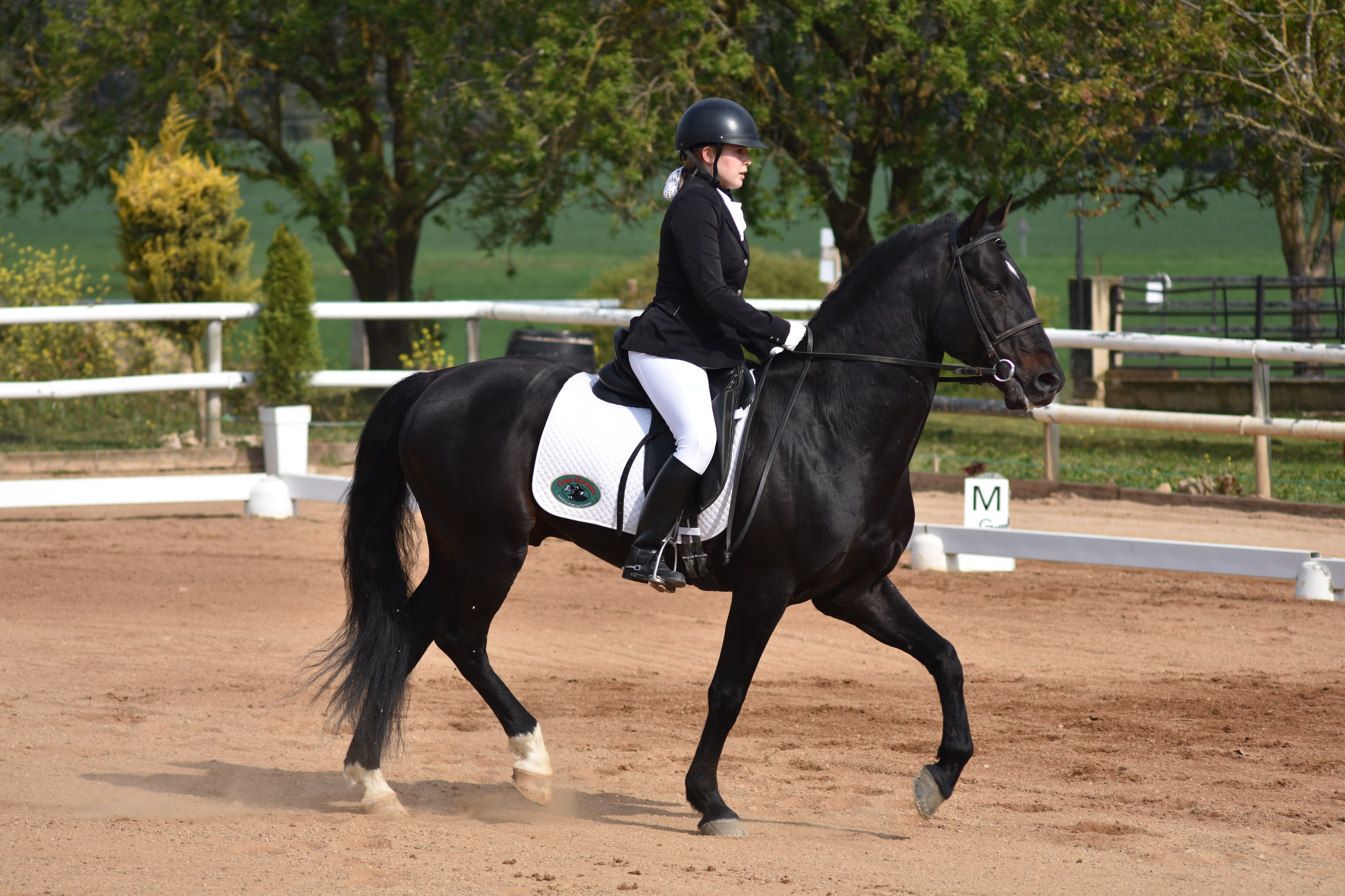 Más fotos de la Primera Fase de Doma Clásica en Acedo